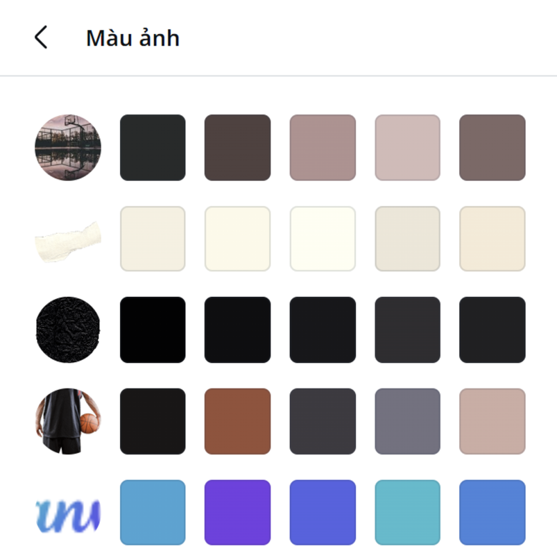 mau anh canva pro